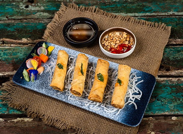 food-dish